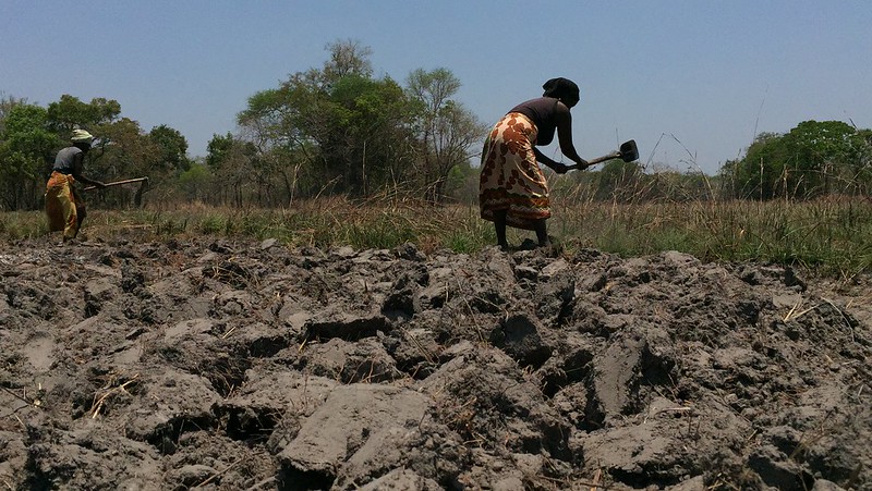 Dry land in Mozambique