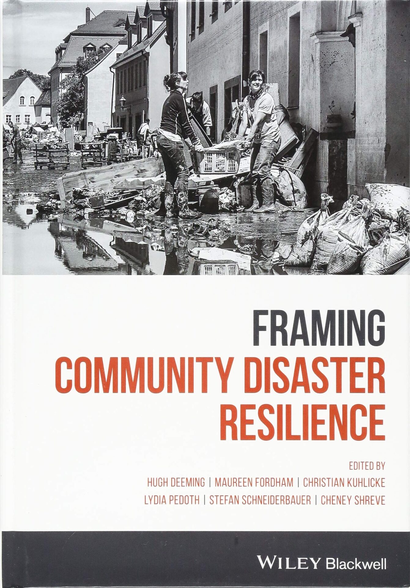 Framing disaster resilience