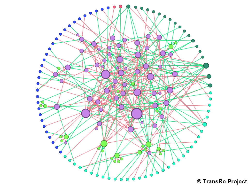 Translocal Networks