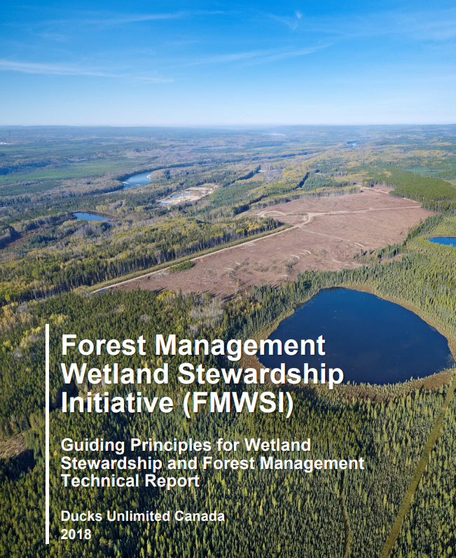 Guiding Principles for Wetland Stewardship and Forest Management: Technical Report