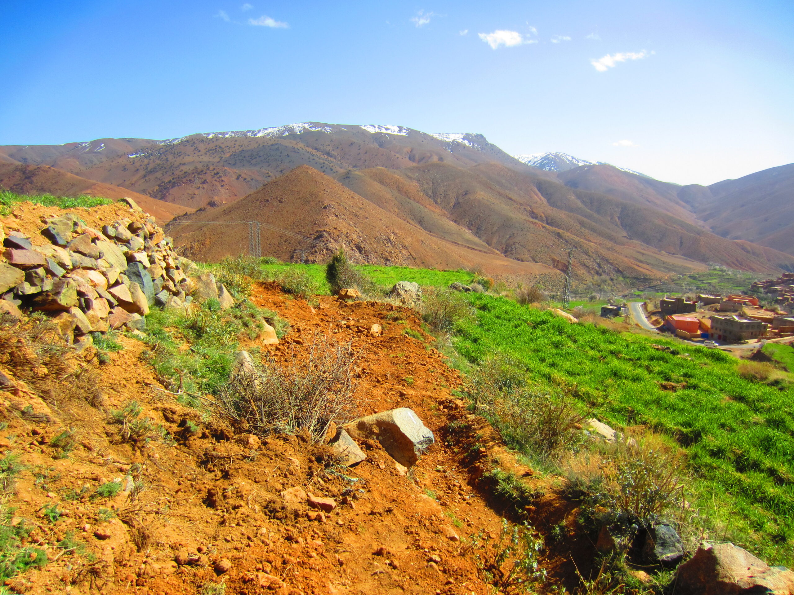 tree planting on hillside Moroccan village