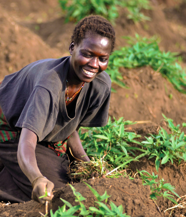 Karamoja farmer