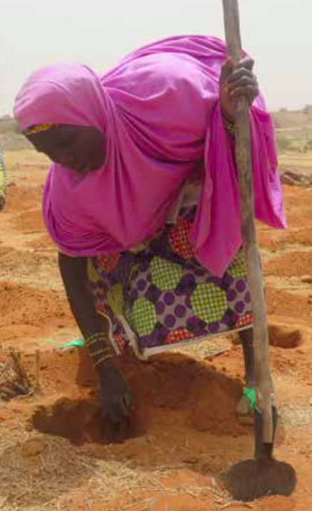 sahel farmer