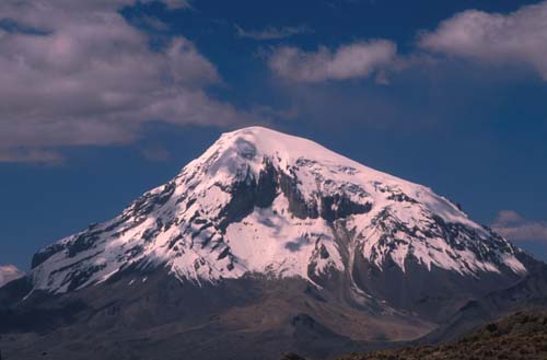 Sajama