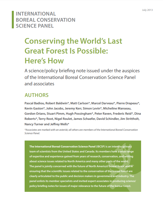 Conserving the World's Last Great Forest is Possible: Here's How